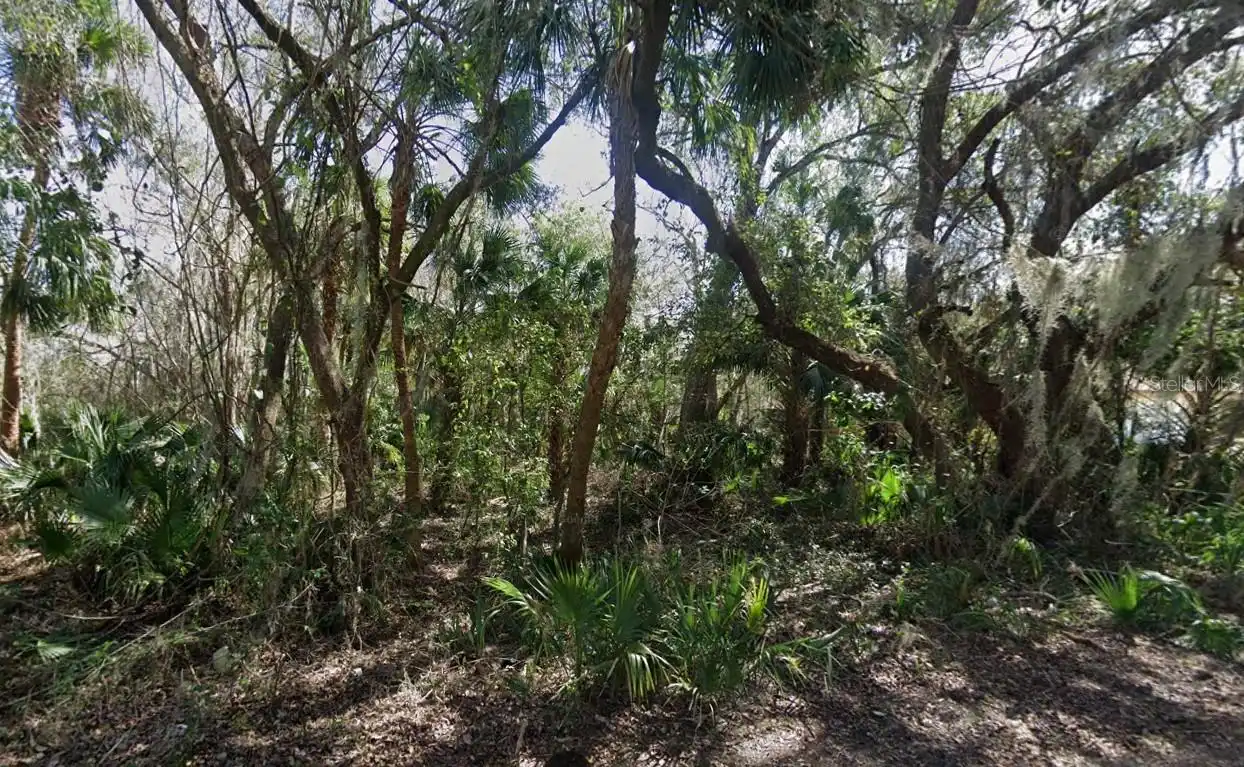 View Listing