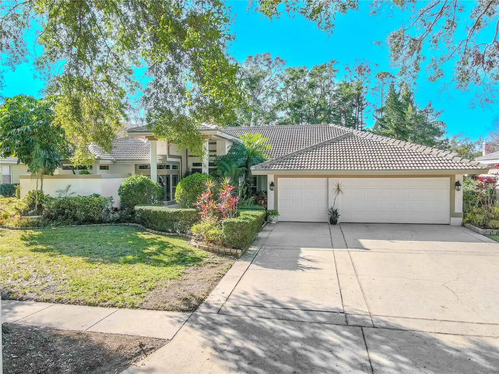 Palm Harbor Real Estate