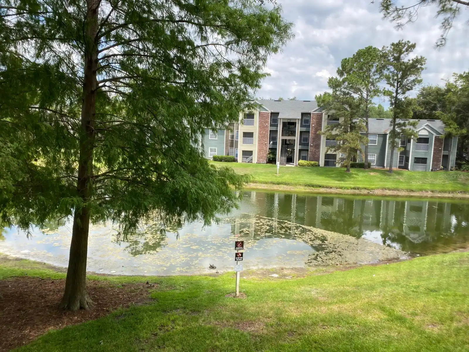 Orlando Real Estate