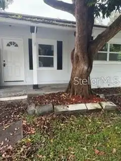 Winter Park Real Estate