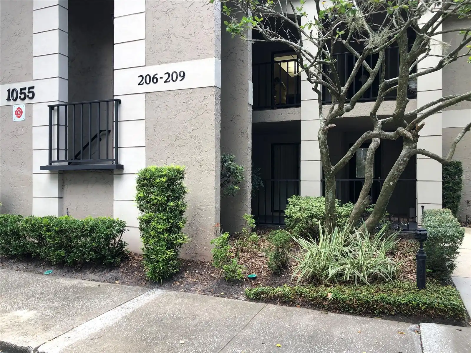 View Listing