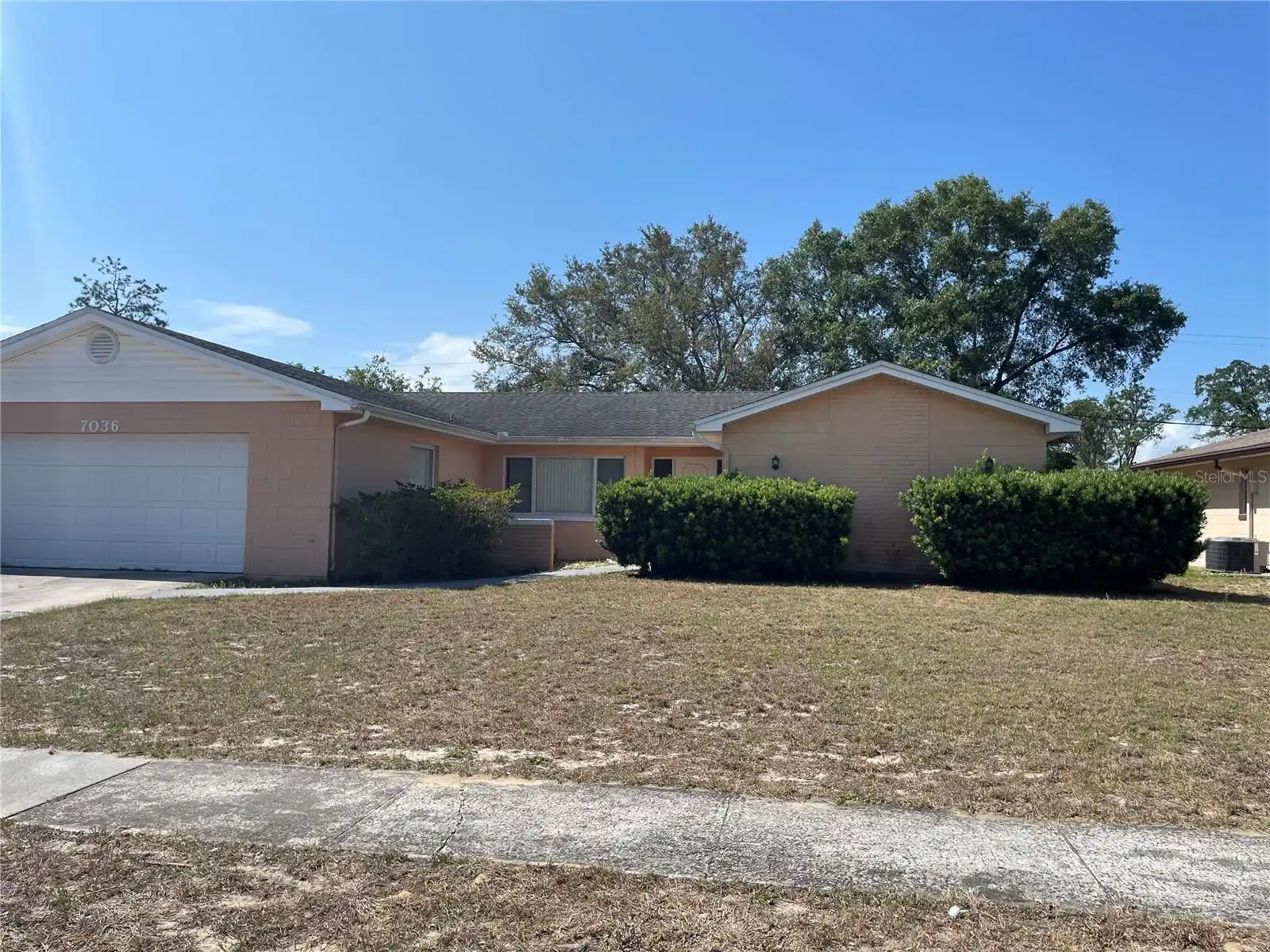 Orlando Real Estate