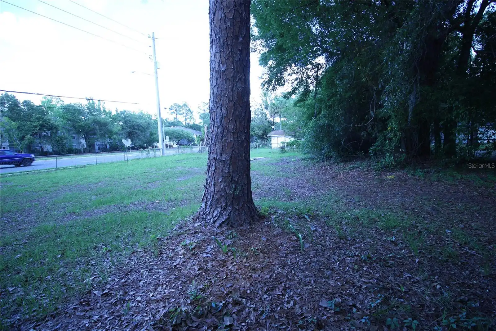 Listing Photo 12