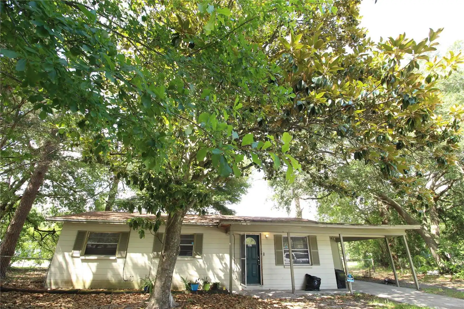 View Listing