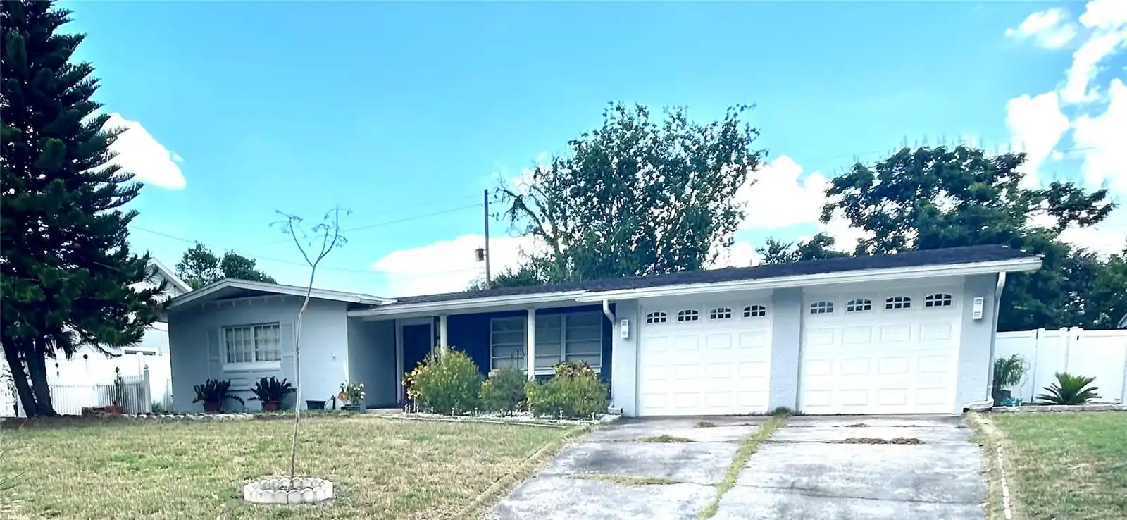 Orlando Real Estate