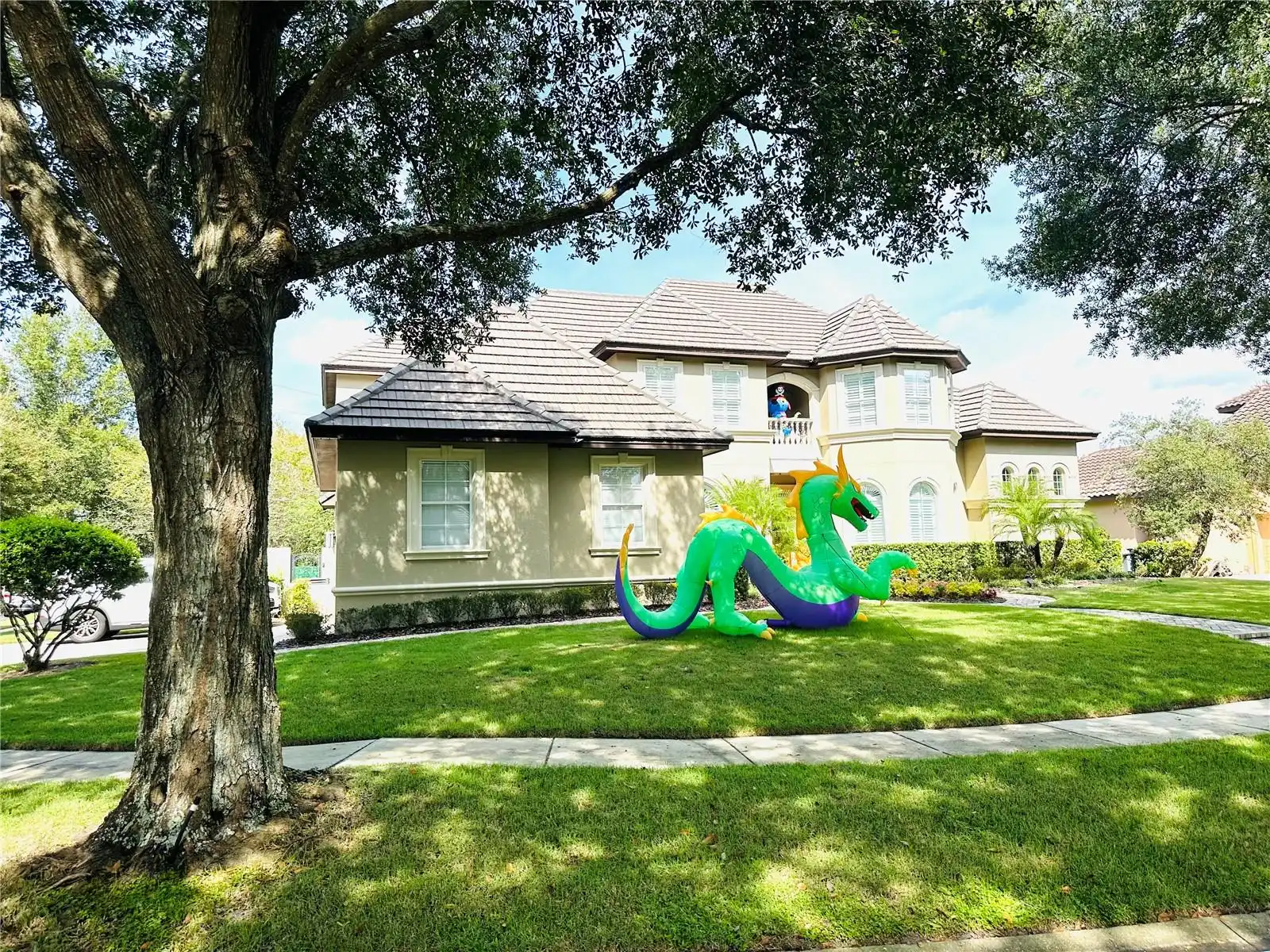 View Listing