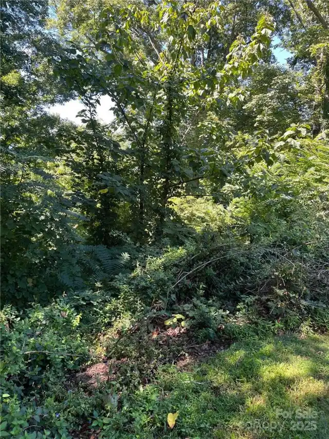 Listing Photo 16