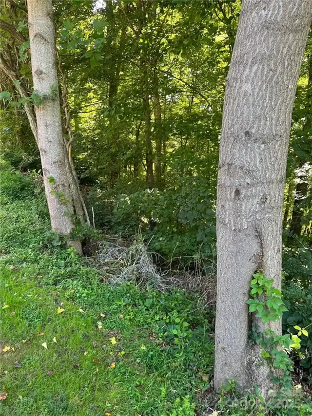 Listing Photo 17