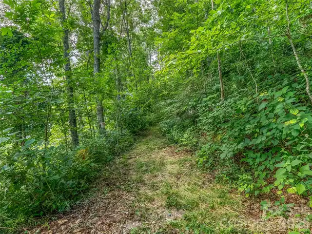 Listing Photo 18