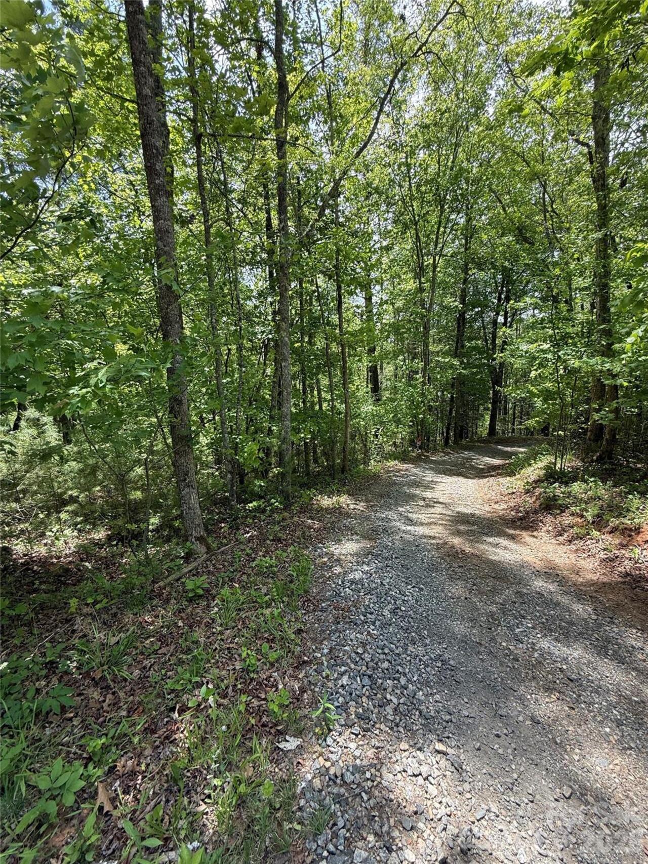 Listing Photo 6