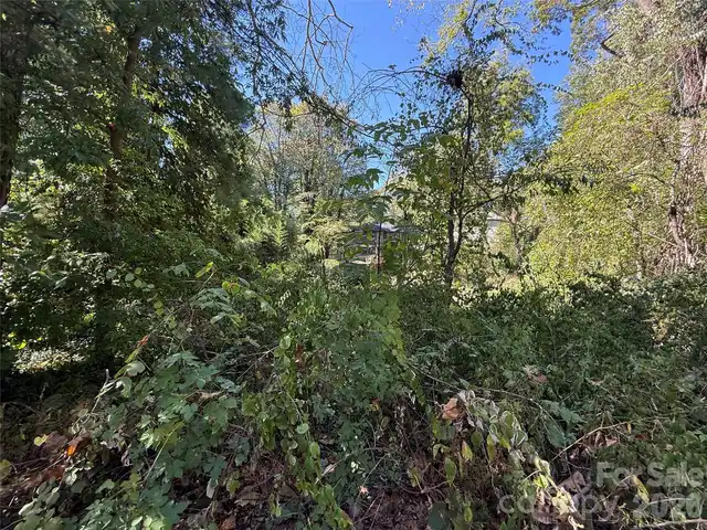 Listing Photo 23