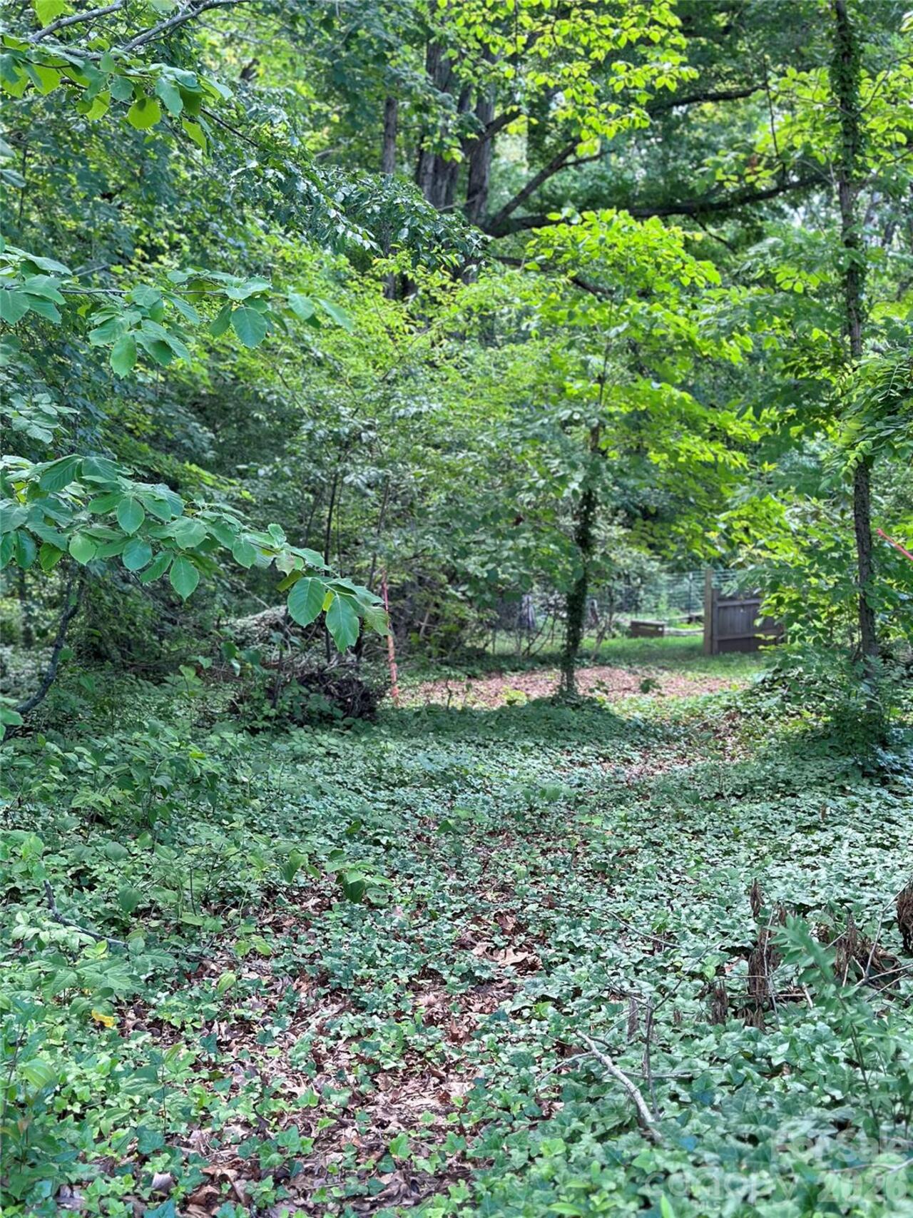 Listing Photo 19