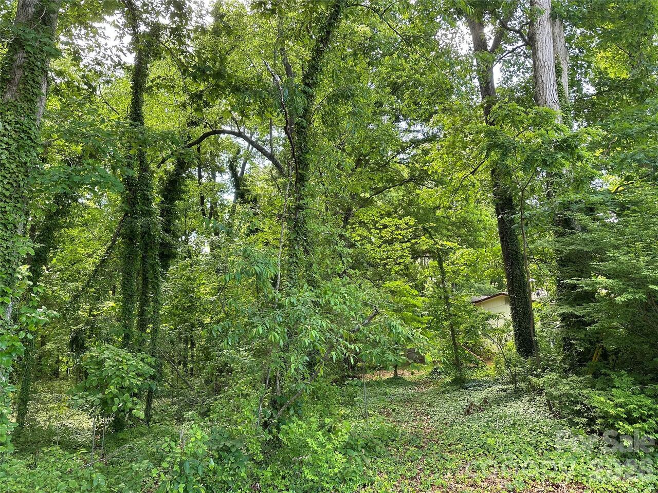 Listing Photo 20