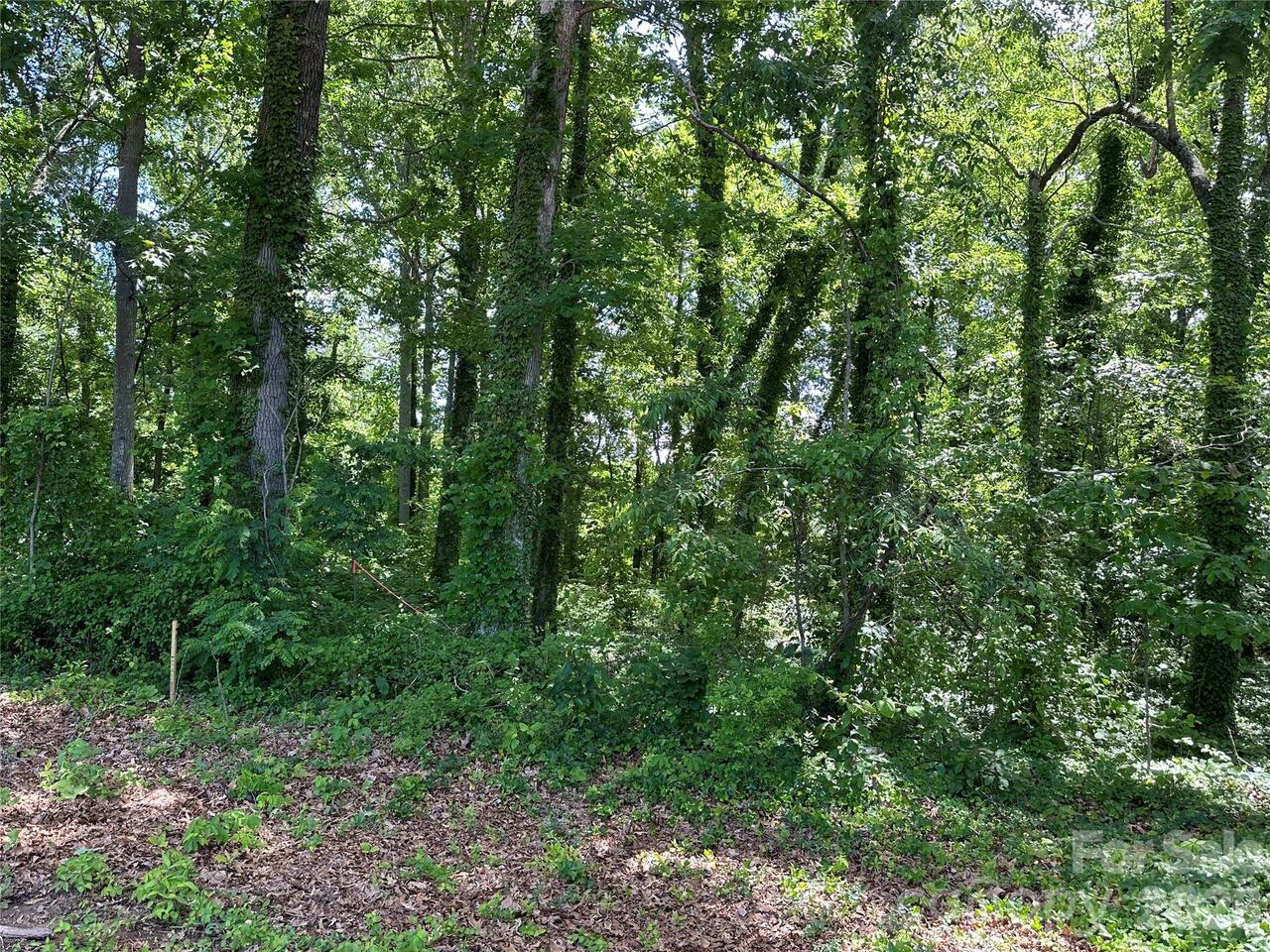 Listing Photo 22