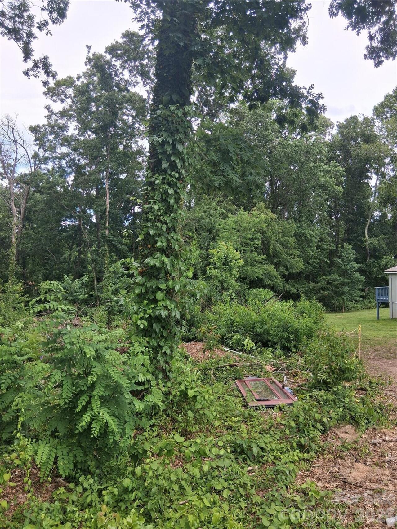 Listing Photo 18