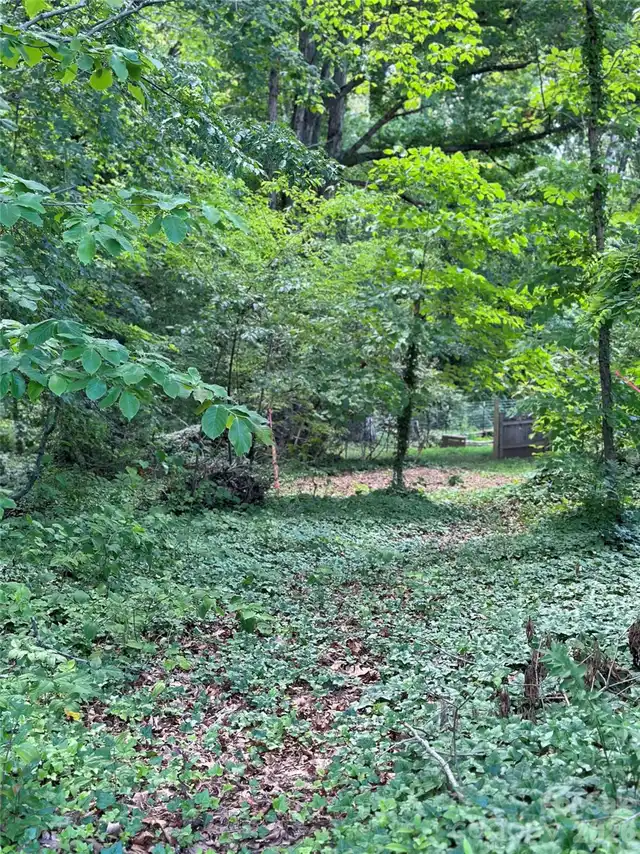 Listing Photo 19