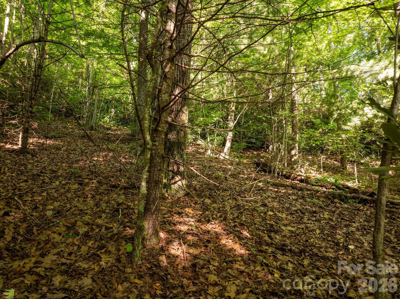 Listing Photo 11