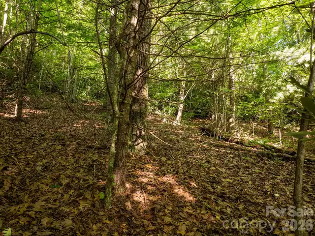 Listing Photo 11