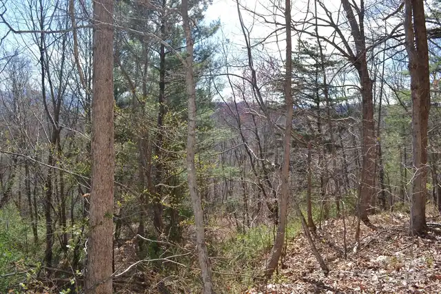Listing Photo 6