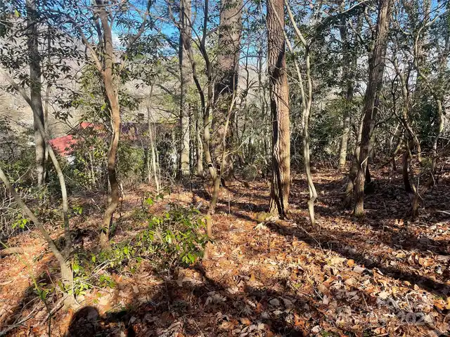 Listing Photo 10