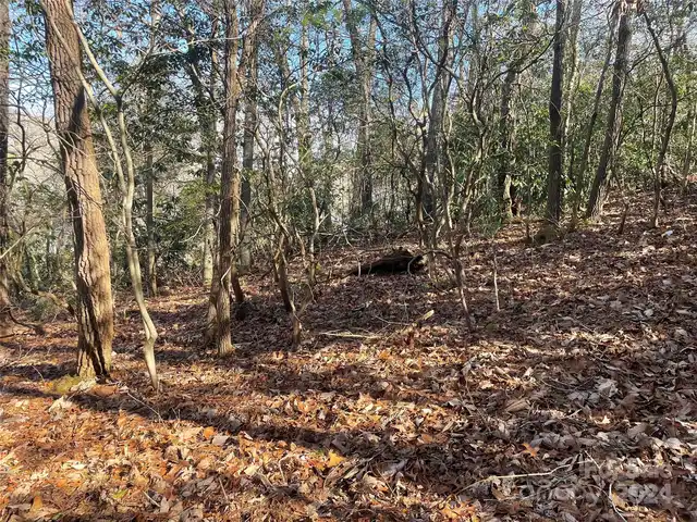 Listing Photo 11