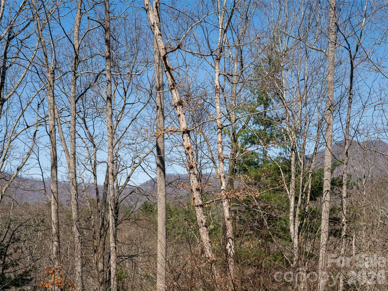 Listing Photo 42