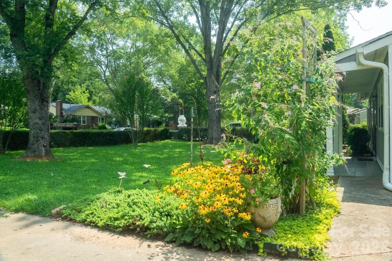 Listing Photo 18