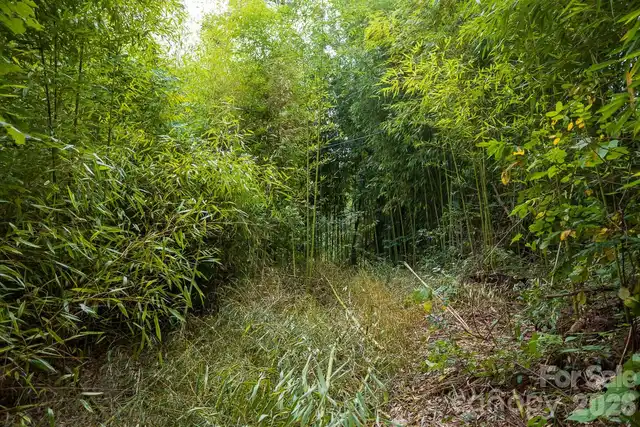 Listing Photo 29