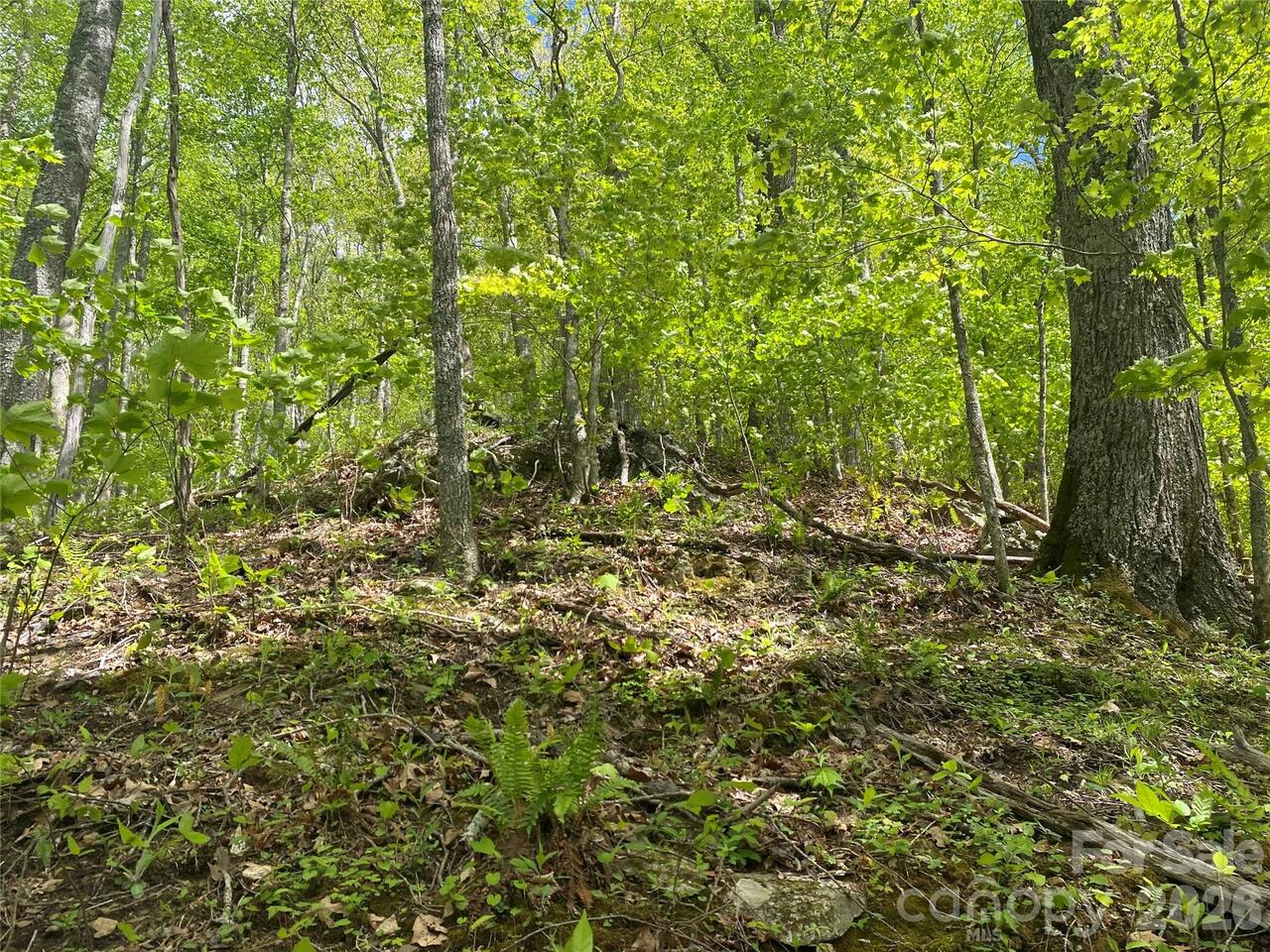 Listing Photo 14