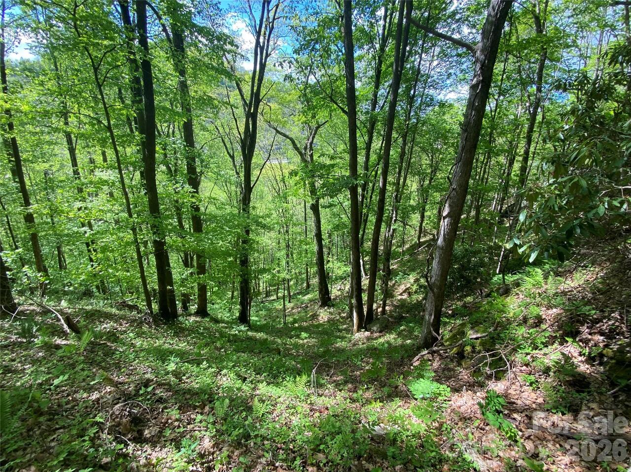 Listing Photo 18