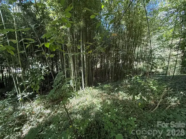 Listing Photo 12