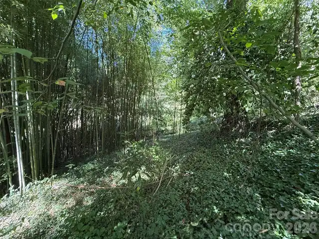 Listing Photo 16