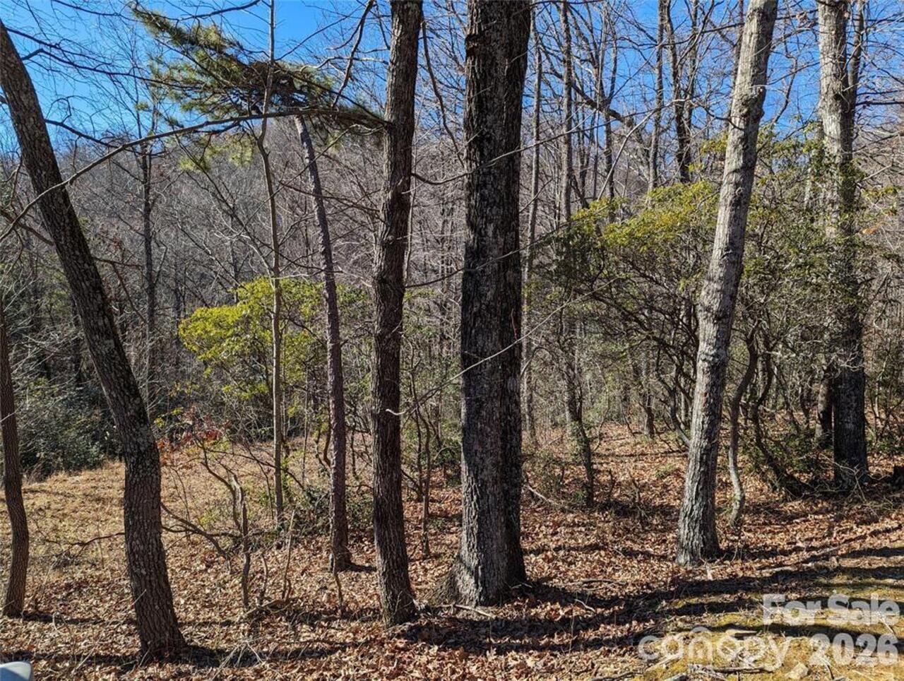 Listing Photo 16