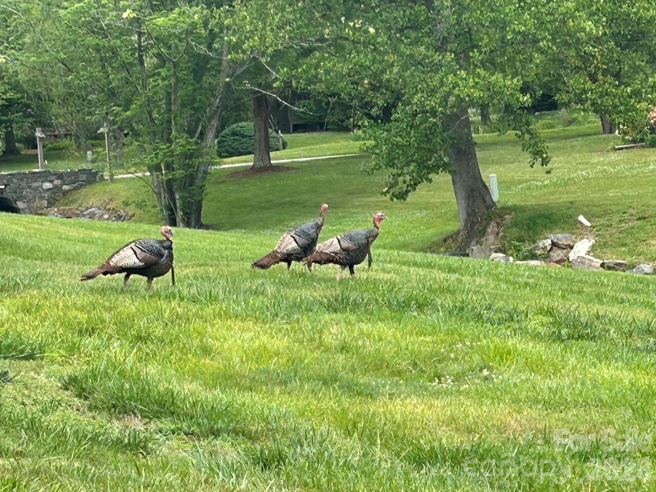 Listing Photo 46