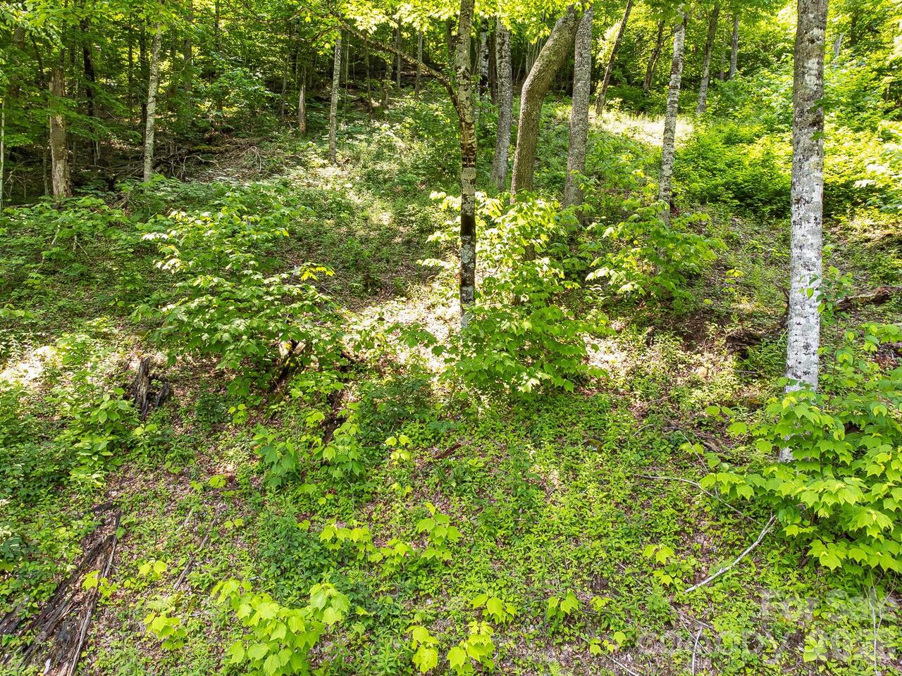 Listing Photo 27