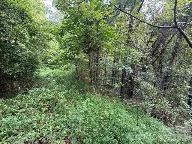Listing Photo 14