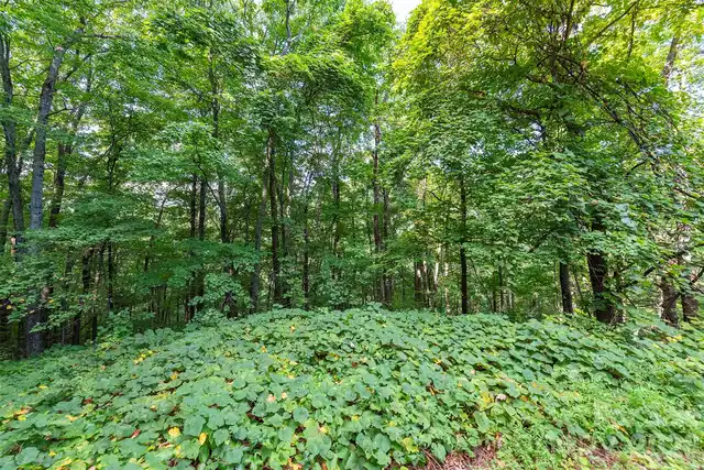 Listing Photo 9