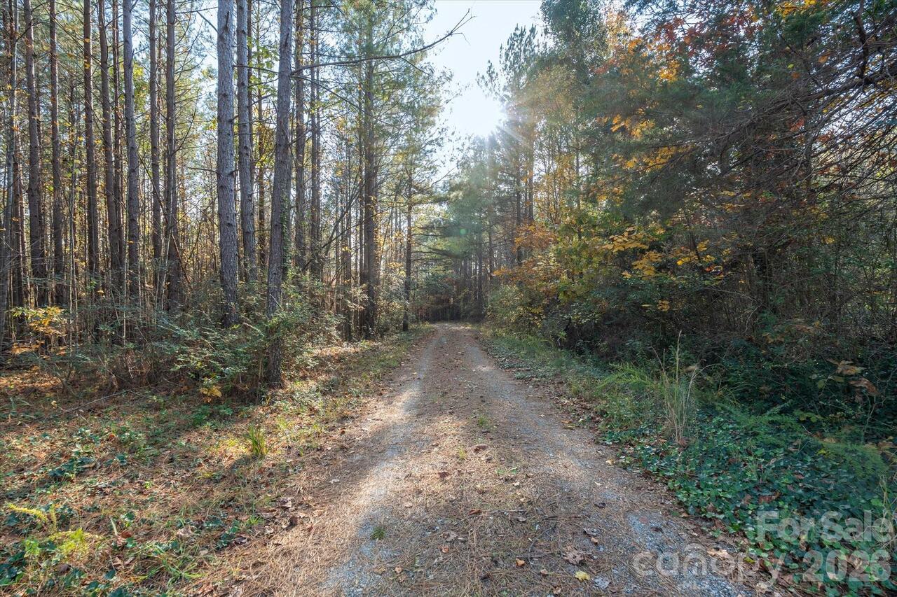 Listing Photo 16