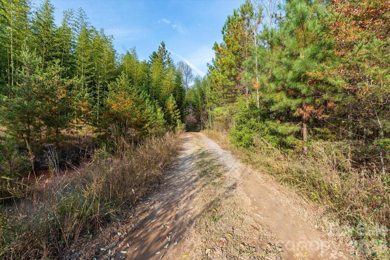 Listing Photo 17