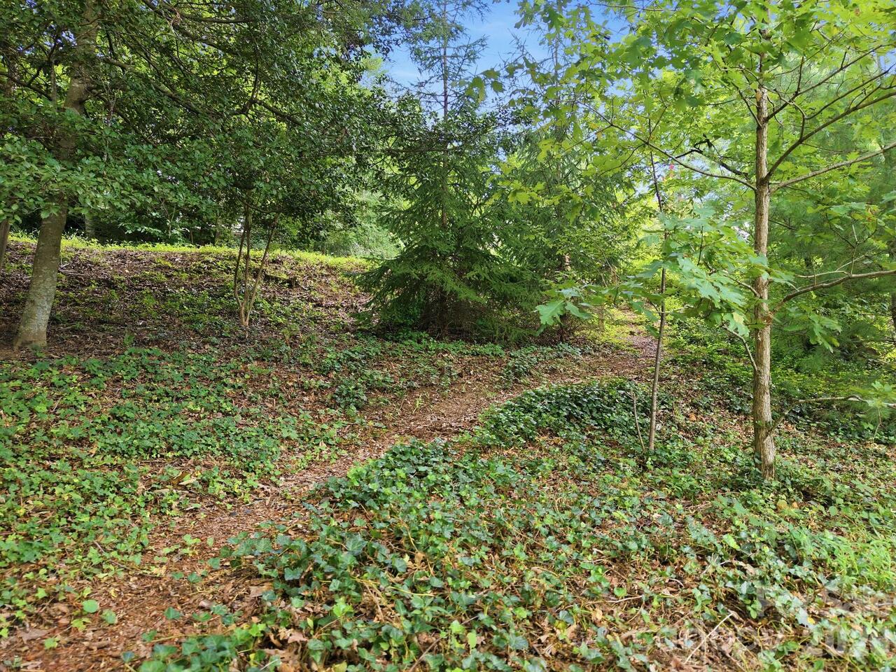 Listing Photo 34
