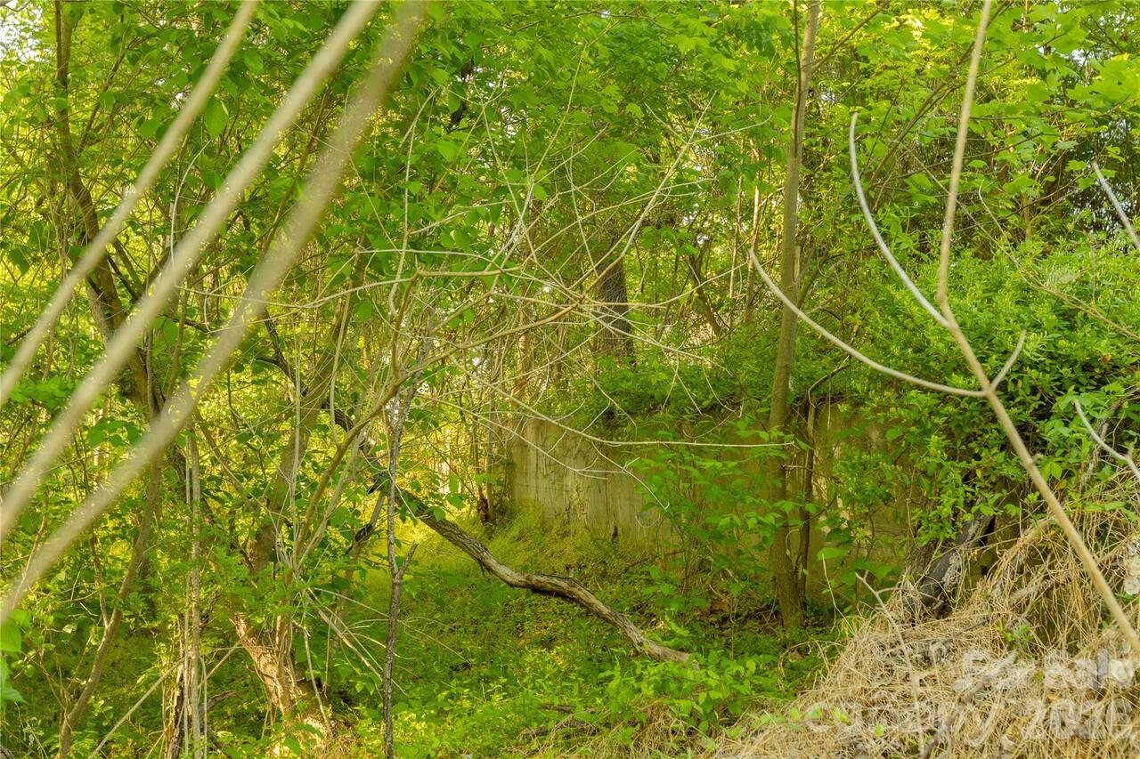 Listing Photo 13