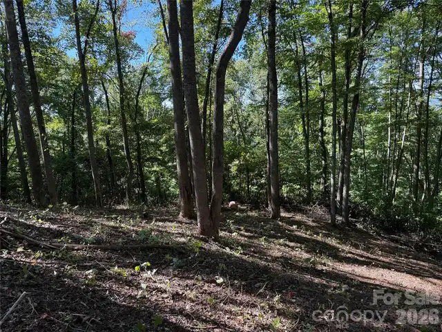 Listing Photo 11