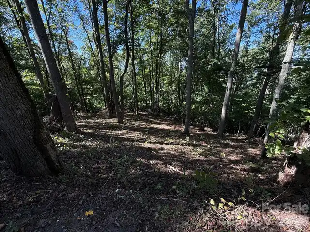 Listing Photo 14