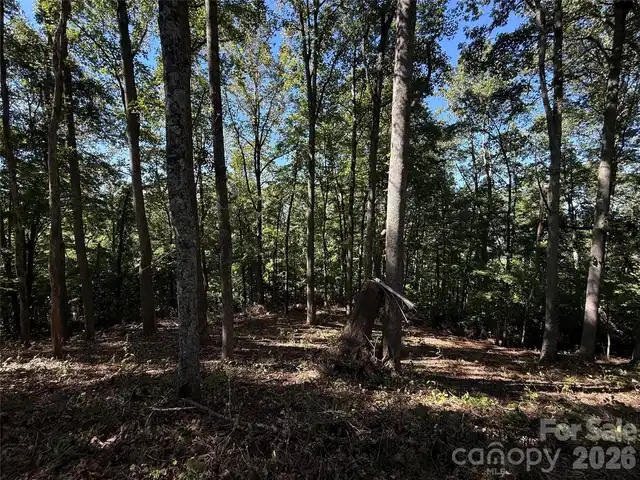 Listing Photo 18