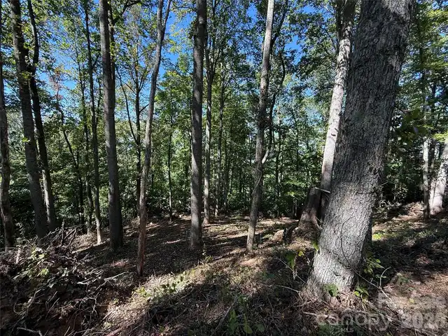 Listing Photo 19