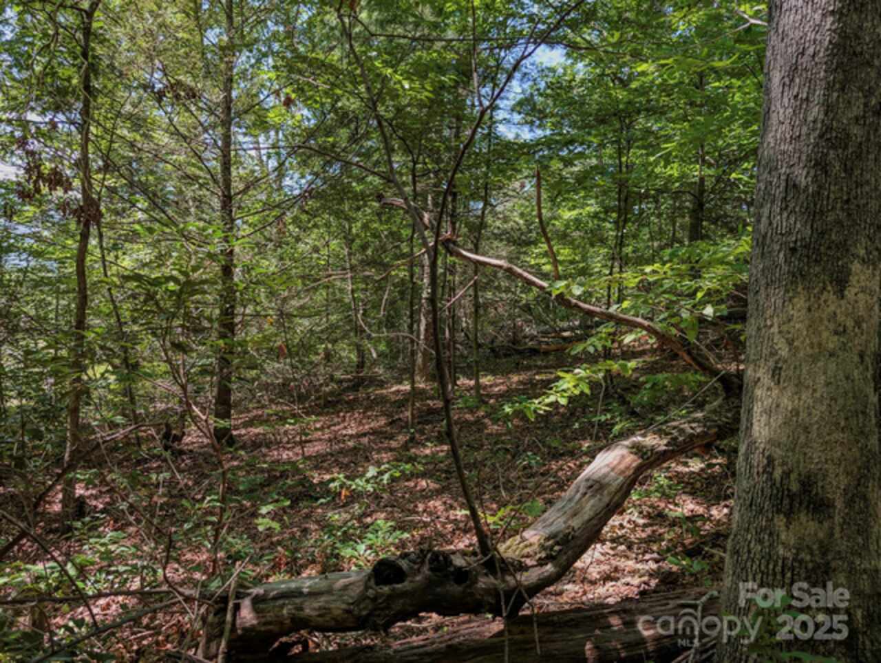 Listing Photo 13