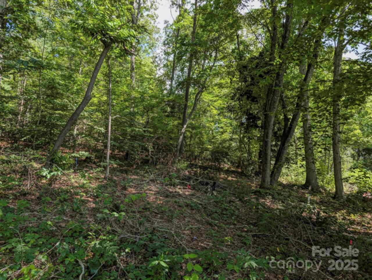 Listing Photo 18