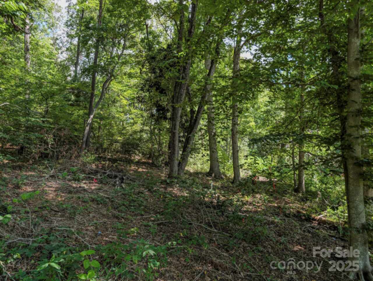 Listing Photo 19