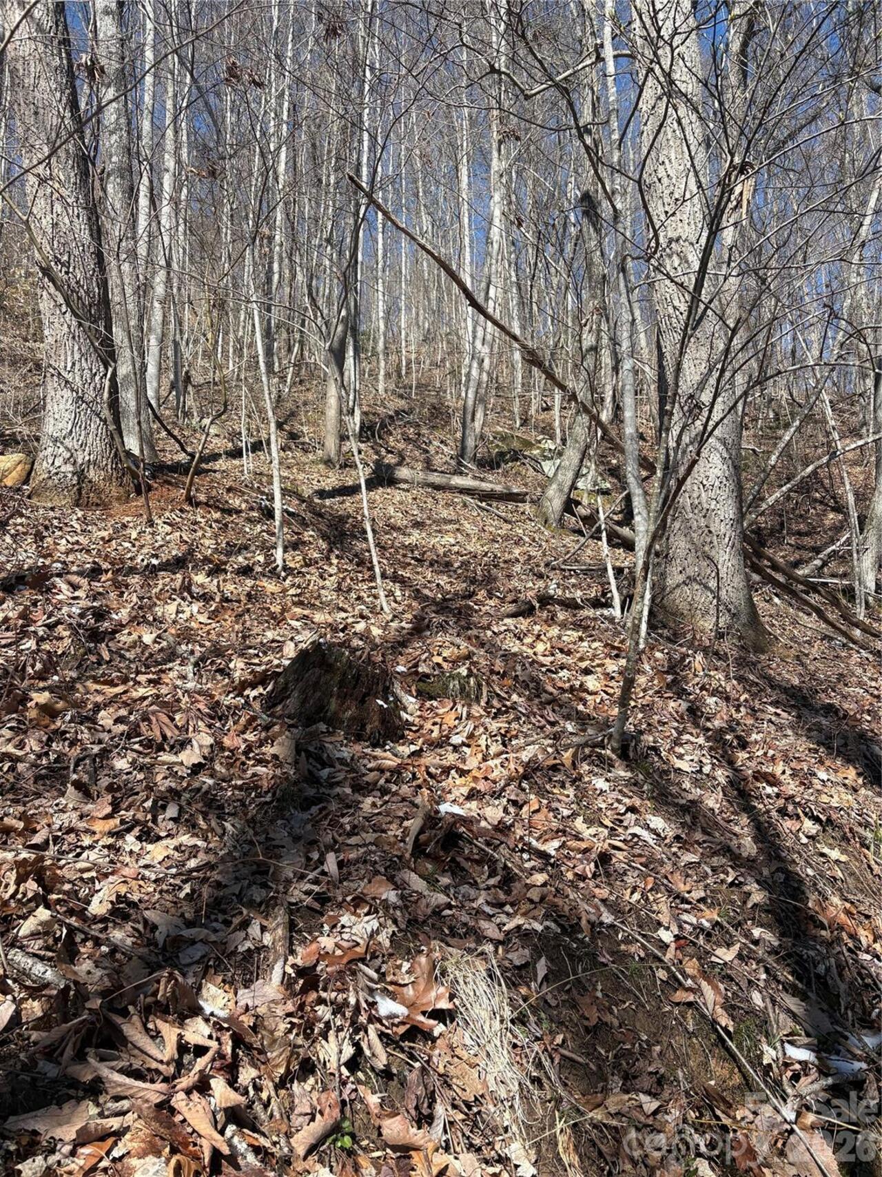 Listing Photo 6