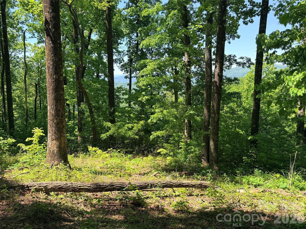 Listing Photo 7